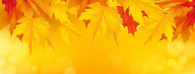 Realistic autumn social media cover template