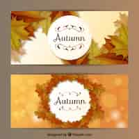 Free vector realistic autumn style banners