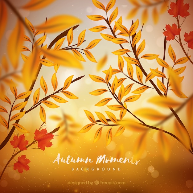 Free vector realistic autumnal background with blurred effect