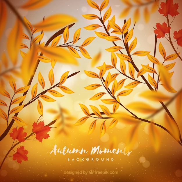 Realistic autumnal background with blurred effect
