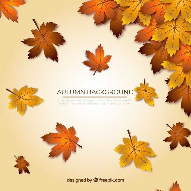 Realistic autumnal background with elegant style