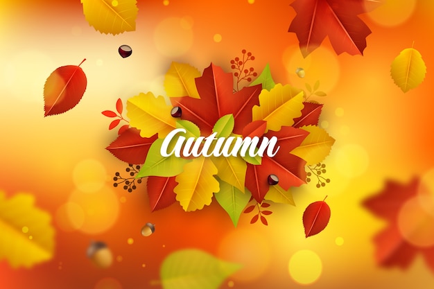 Realistic background for autumn