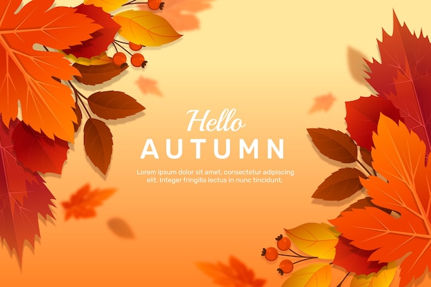 Free vector realistic background for autumn