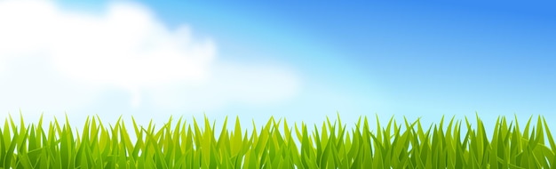 Realistic background of sunny countryside with clouds
