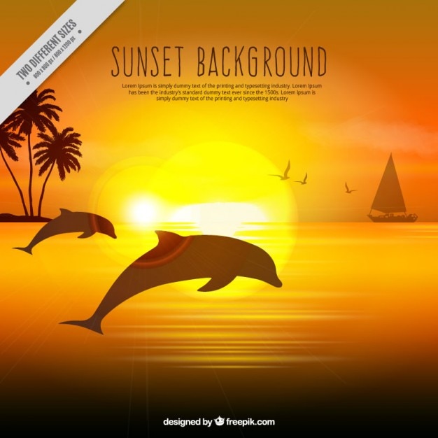 Free vector realistic background of a sunset with dolphins