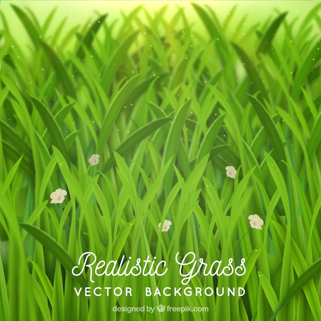 Realistic background with grass and flowers