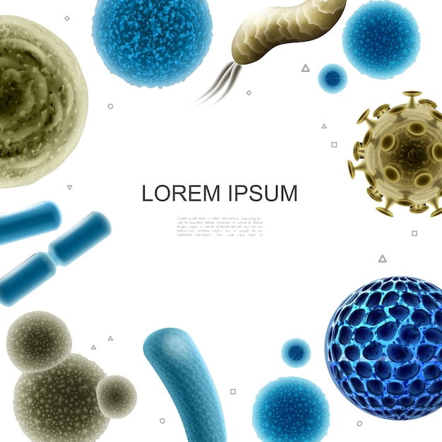 さまざまな形の図の細菌細菌とウイルス細胞と現実的な細菌とウイルスのテンプレート