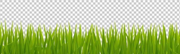 Realistic banner with grass