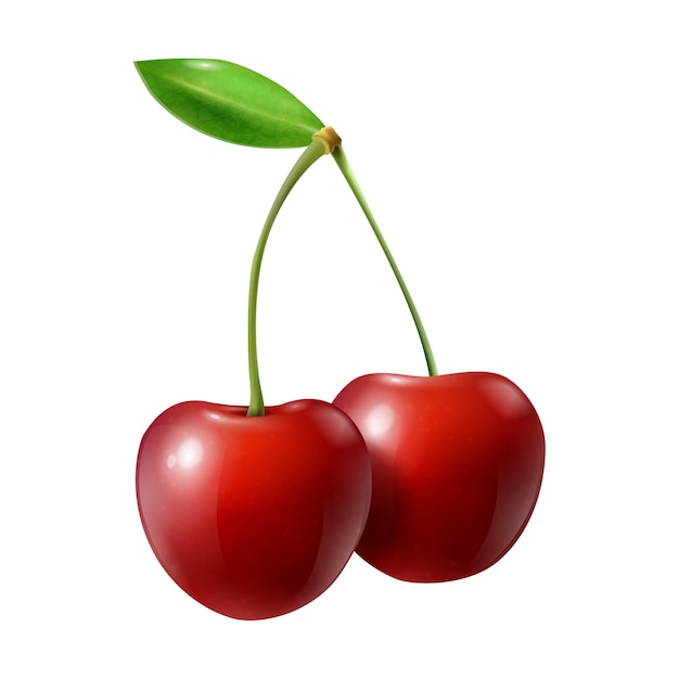 Реалистичная композиция ягод с изолированным изображением вишни со спелыми листьями на пустой векторной иллюстрации фона