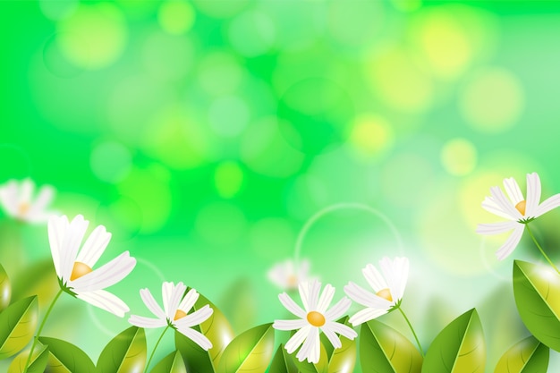 Free vector realistic blurred spring background with empty space