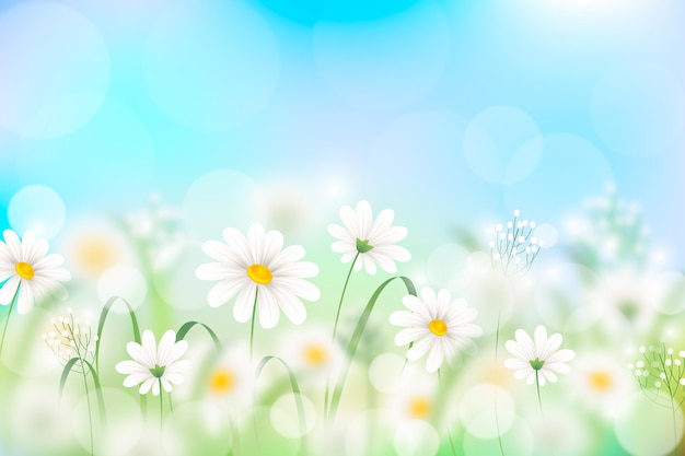 Realistic blurred spring background