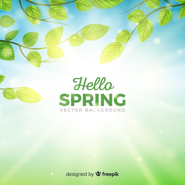 Free vector realistic branches spring background