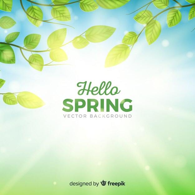 Realistic branches spring background