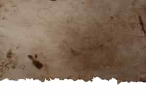 Free vector realistic burned paper texture