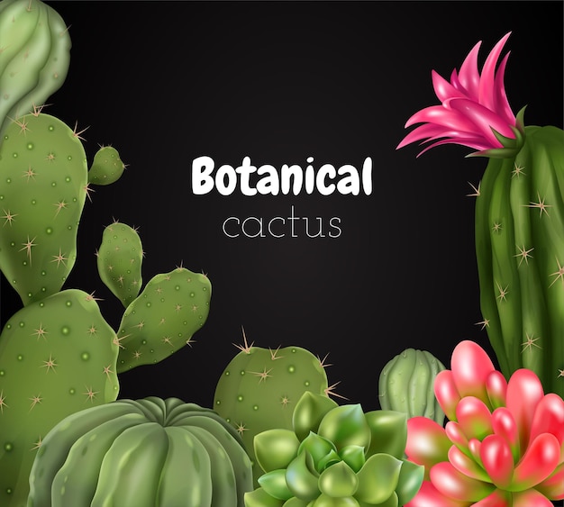 Vettore gratuito composizione realistica di cactus con testo ornato sulla lavagna circondato da immagini di diverse specie di illustrazione vettoriale di piante di cactus