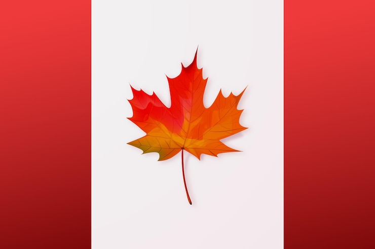Free Vector realistic canada day illustration