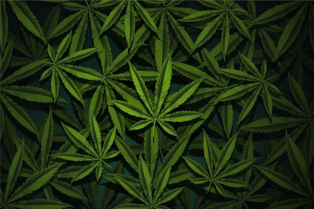 Free vector realistic cannabis leaf background