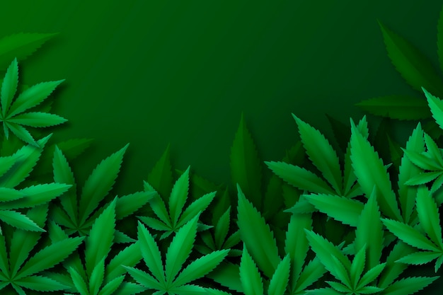 Free vector realistic cannabis leaf background