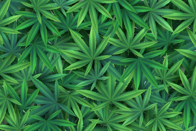 リアルな大麻の葉の背景