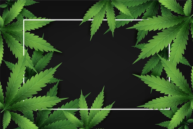 Free vector realistic cannabis leaf background