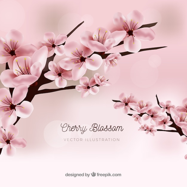 Realistic cherry blossom background design