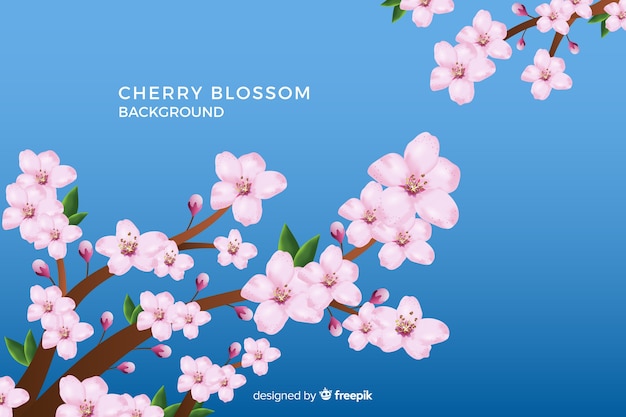 Free vector realistic cherry blossom background