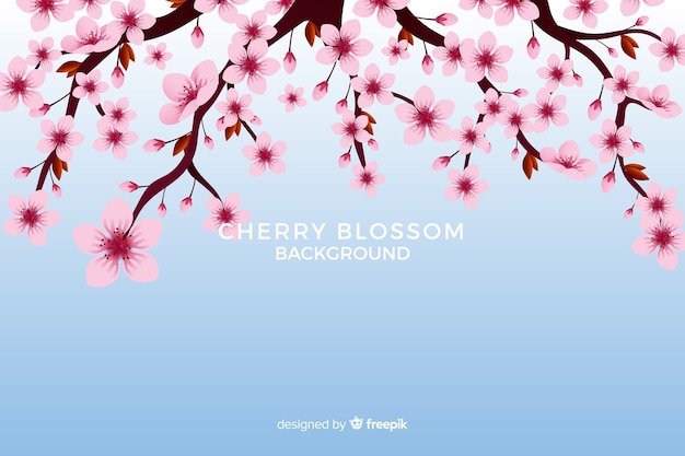 Free vector realistic cherry blossom background