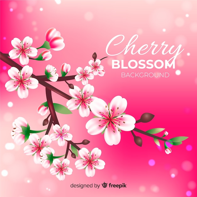 Free vector realistic cherry blossom background