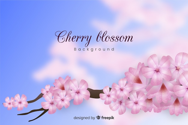 Free vector realistic cherry blossom background