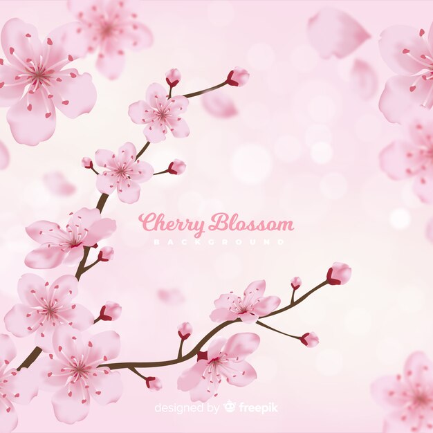 Realistic cherry blossom background