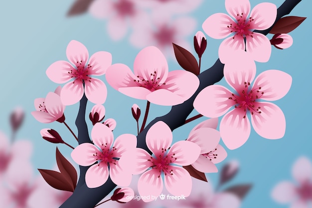 Free vector realistic cherry blossom background