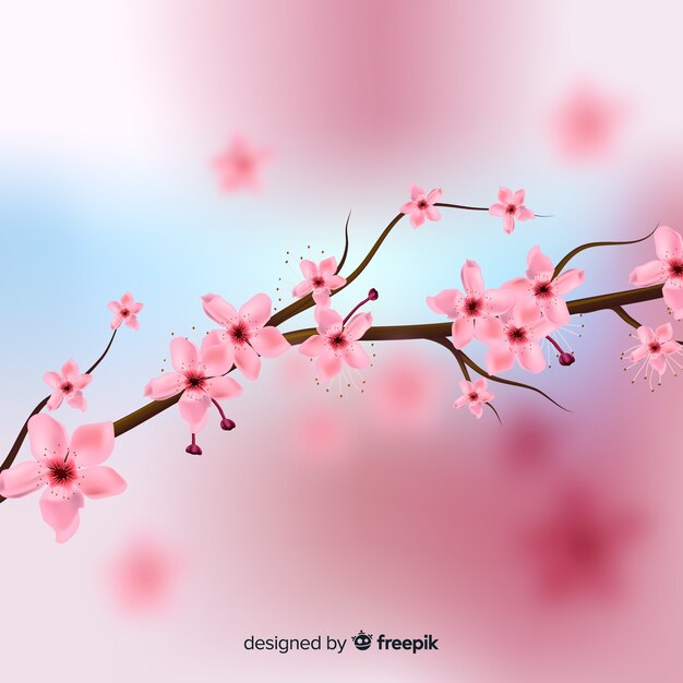 Realistic cherry blossom background