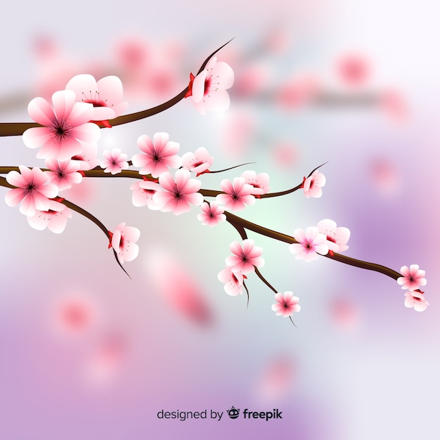 Realistic cherry blossom background