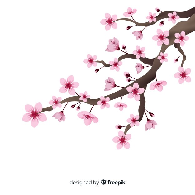 Realistic cherry blossom branch background