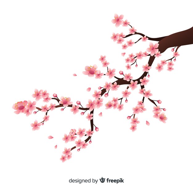 Realistic cherry blossom branch