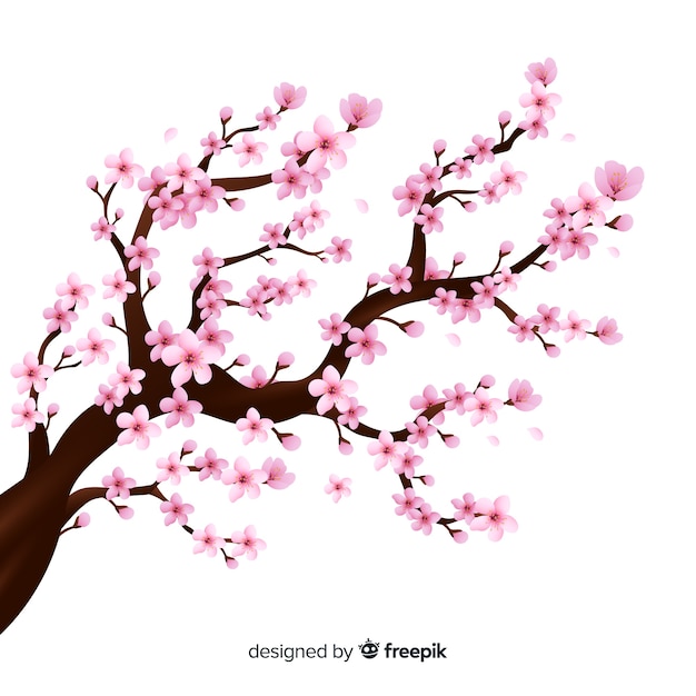 Realistic cherry blossom branch