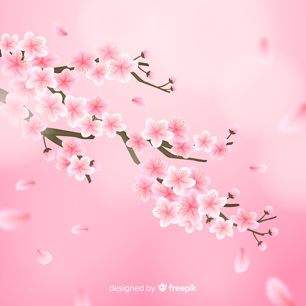 Free vector realistic cherry blossom branch