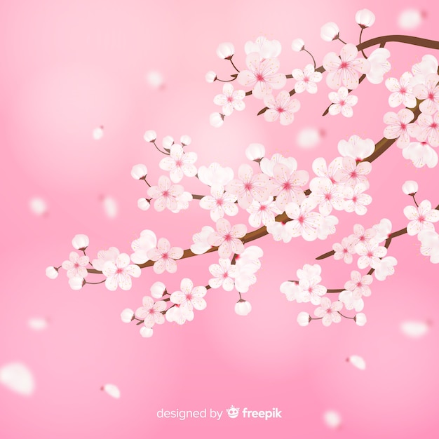 Realistic cherry blossom branch