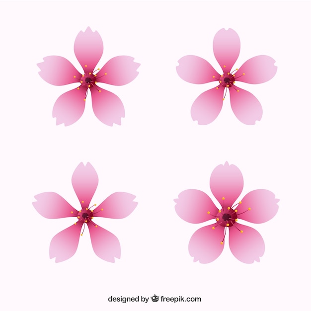 Free vector realistic cherry blossoms