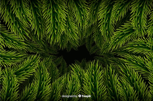 Free vector realistic christmas tree branches background