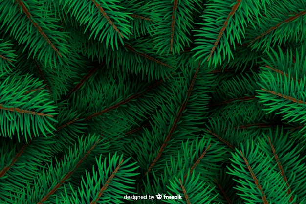 Realistic christmas tree branches background