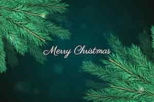 Free vector realistic christmas tree branches background