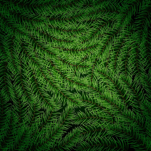 Realistic christmas tree branches background