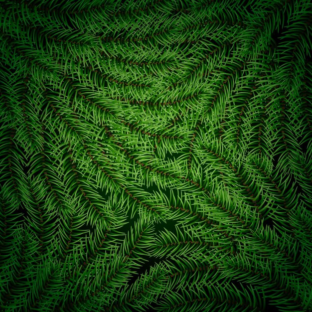 Realistic christmas tree branches background