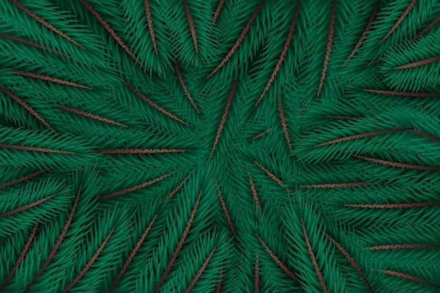 Бесплатное векторное изображение Реалистичные елки ветви фон