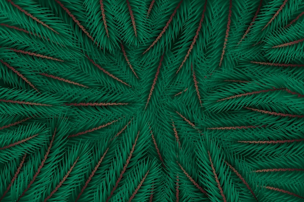 Realistic christmas tree branches background