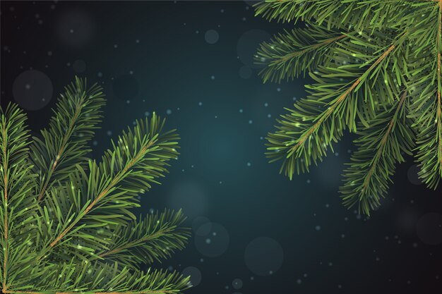 現実的なクリスマスツリーの枝の背景