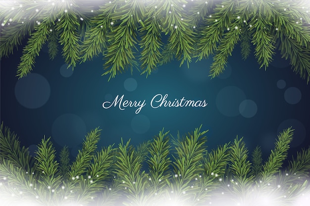 Free vector realistic christmas tree branches background