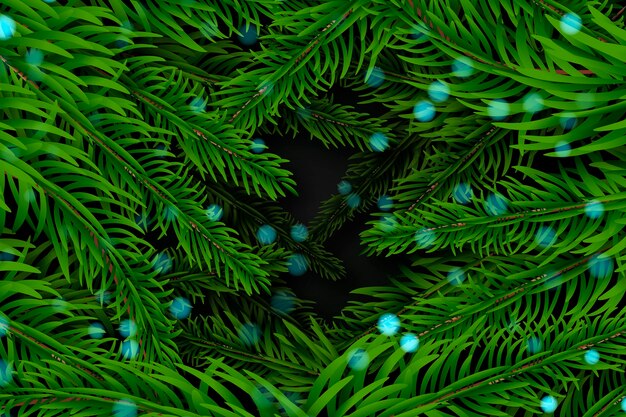 Realistic christmas tree branches background