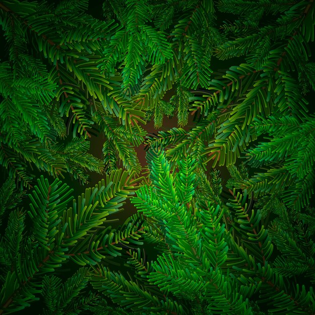 Realistic christmas tree branches background